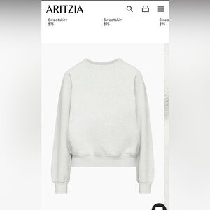 Aritzia Community Raglan Sweatshirt in Heather Cloud White (XS)